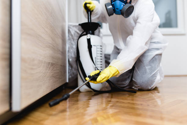 Reliable Apex, NC Pest Control Solutions
