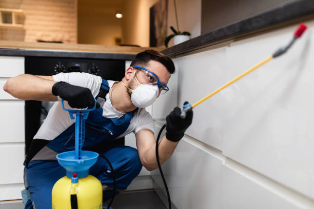 Best Residential Pest Control  in Apex, NC
