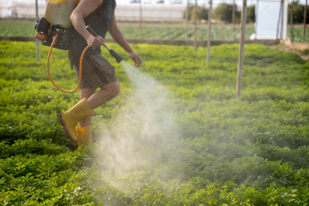 Pest Control Cost in Apex, NC