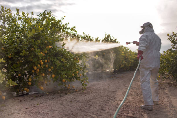Best Pest Inspection Near Me  in Apex, NC