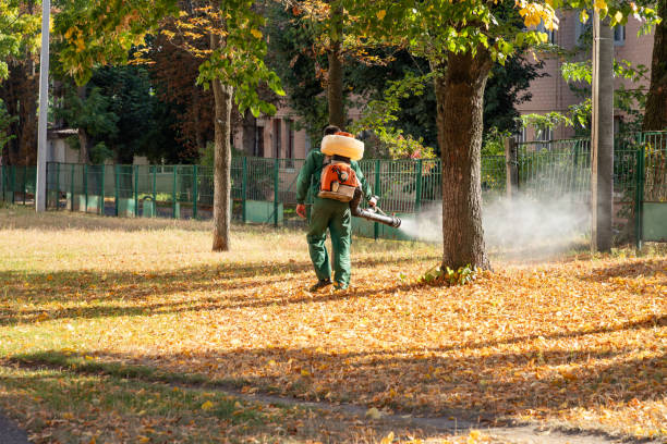 Best Exterminator Services  in Apex, NC