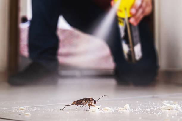 Best Best Pest Control Companies  in Apex, NC