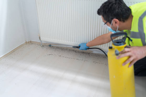 Best Mosquito Control Services  in Apex, NC