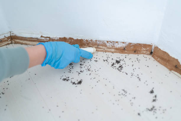 Best Pest Removal Services  in Apex, NC