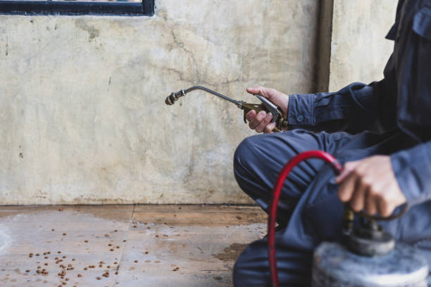 Best Termite Control Services  in Apex, NC